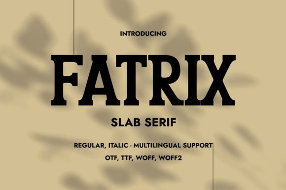 Fatrix: The Bold Slab Serif Typeface for Impactful Web Design