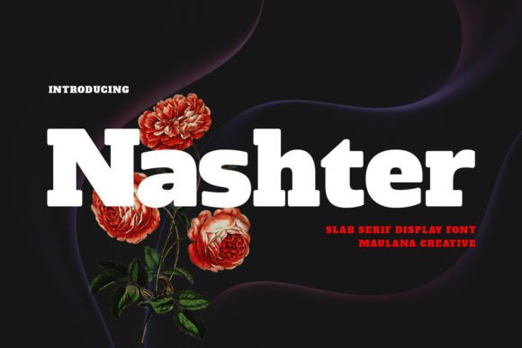 Nashter: The Bold Slab Serif Typeface for Modern Web Design